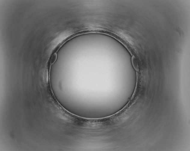 X0000111471269200907271304