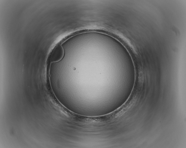 X0000111471270200907271304