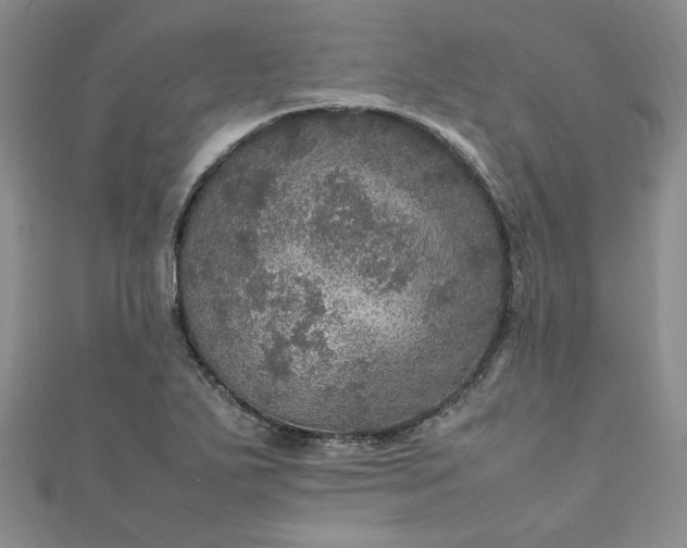 X0000111471271200907271304