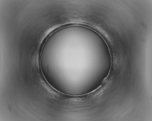 X0000111471272200907271304