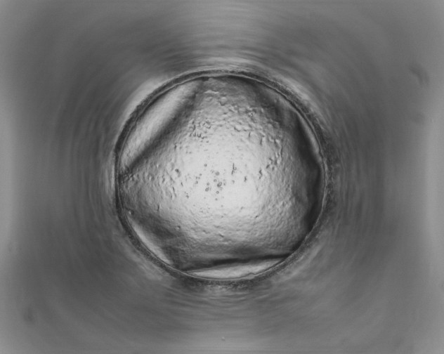 X0000111471275200907271304