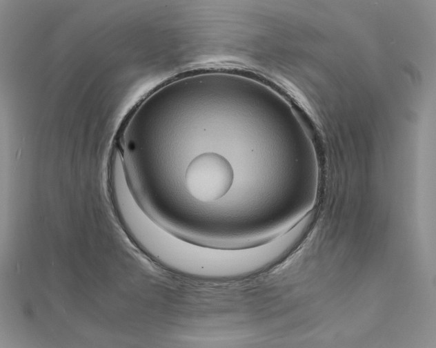 X0000111471277200907271304