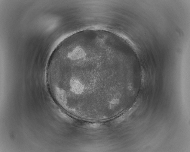 X0000111471278200907271304