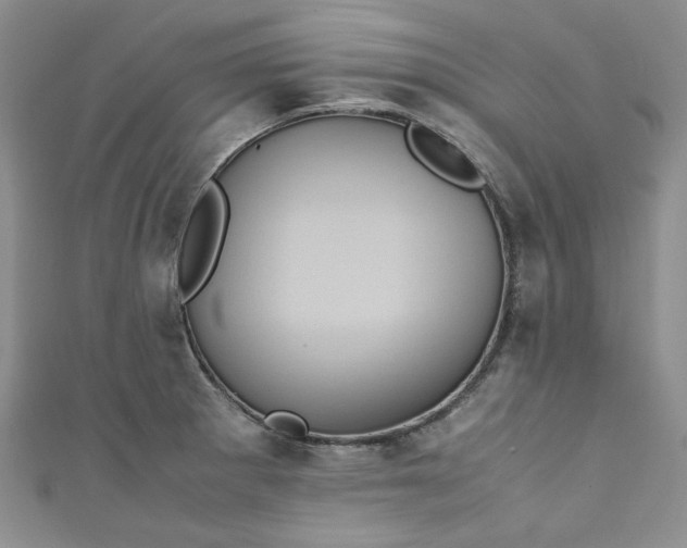 X0000111471281200907271304