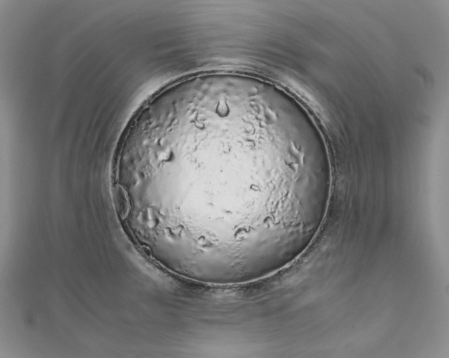 X0000111471283200907271304