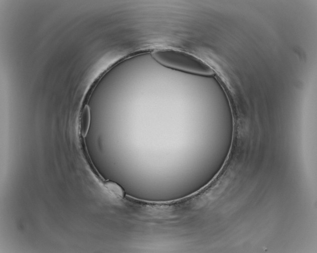 X0000111471285200907271304