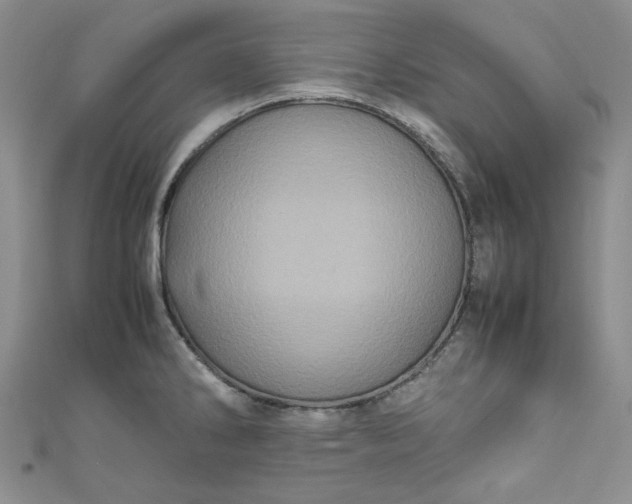 X0000111471286200907271304