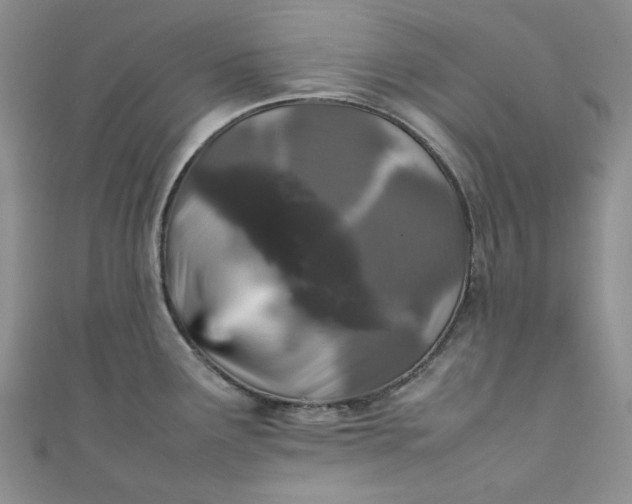 X0000111471291200907271304