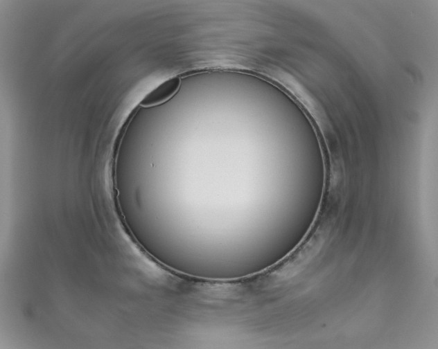 X0000111471293200907271304