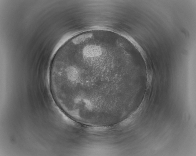 X0000111471294200907271304