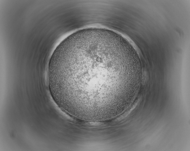 X0000111471295200907271304