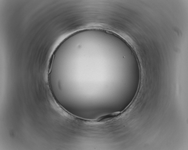 X0000111471296200907271304