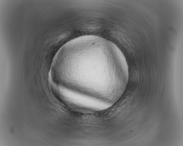 X0000111471297200907271303