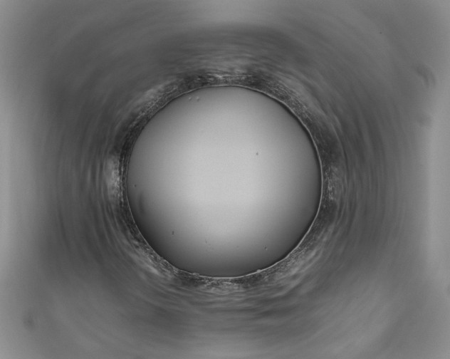 X0000111471298200907271303