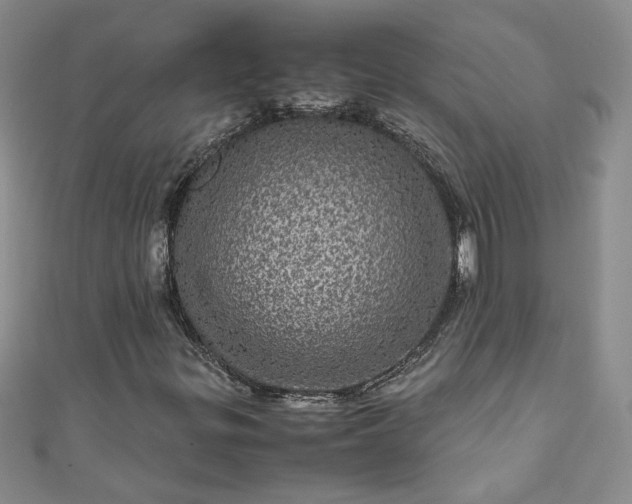 X0000111471299200907271303