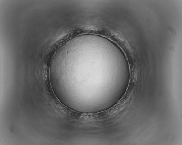 X0000111471301200907271303