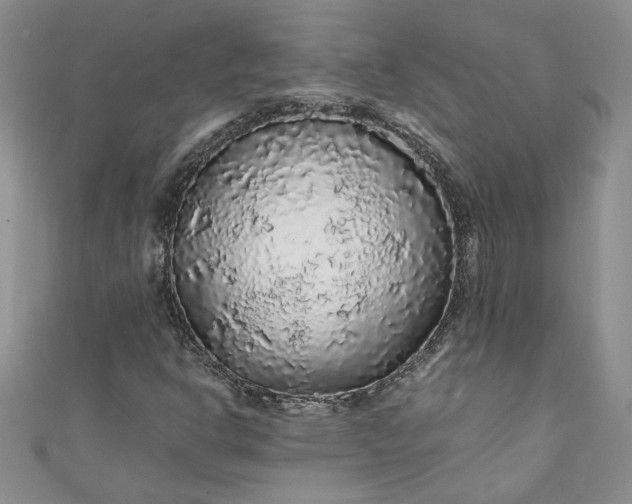 X0000111471302200907271303