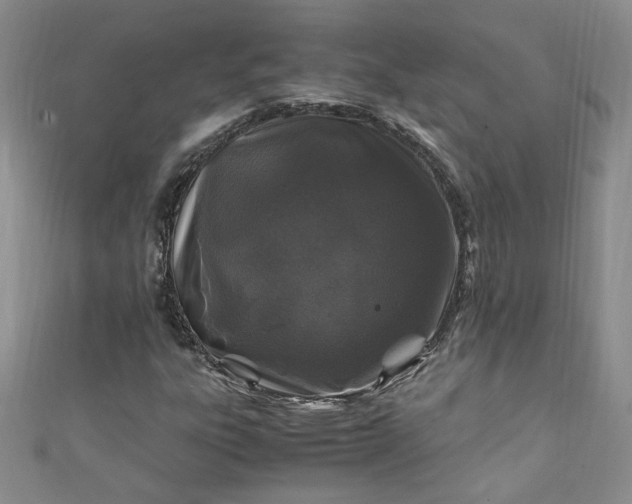 X0000111471303200907271303