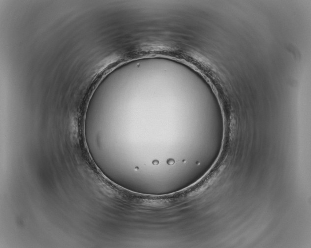 X0000111471305200907271303