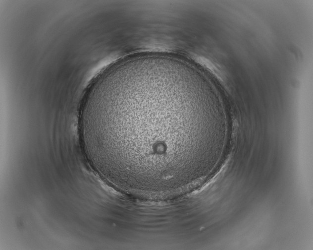 X0000111471307200907271303