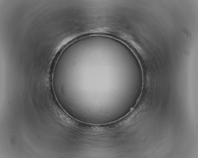 X0000111471308200907271303