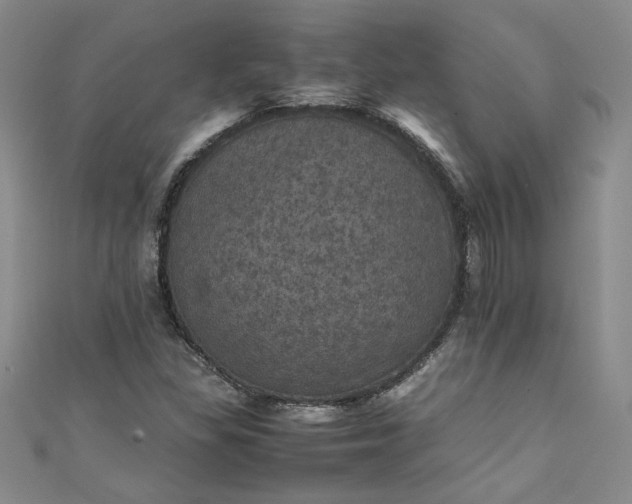 X0000111471309200907271303