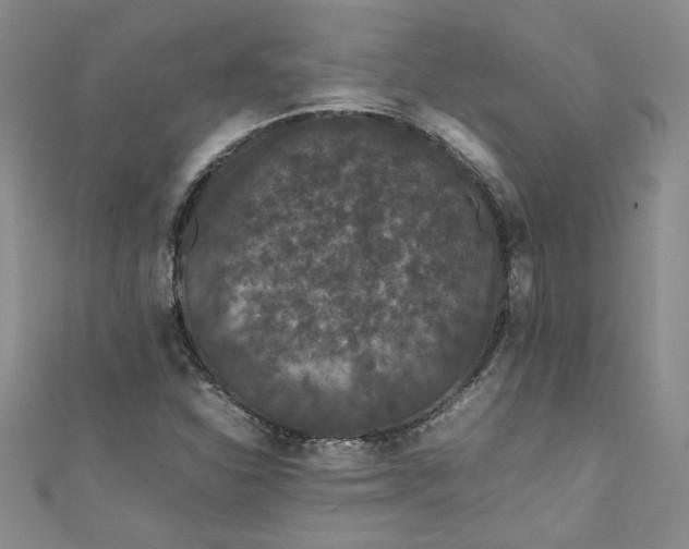 X0000111471310200907271303