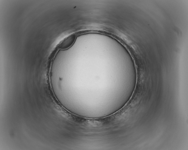 X0000111471312200907271303