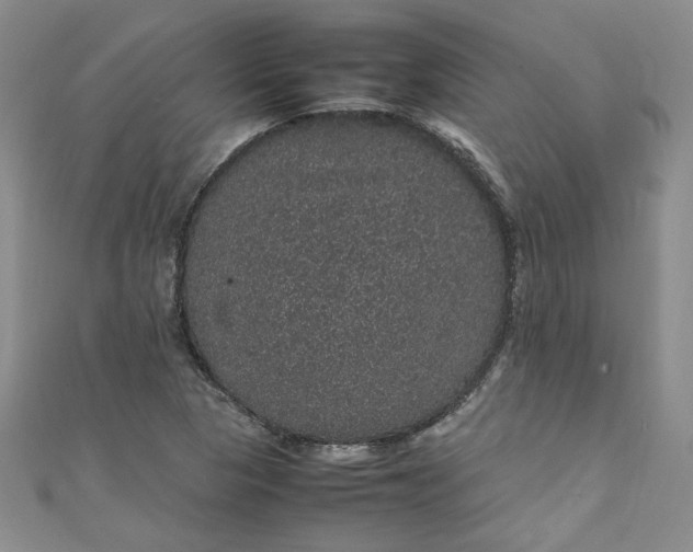 X0000111471313200907271303