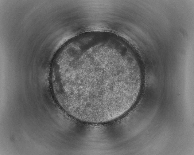 X0000111471314200907271303