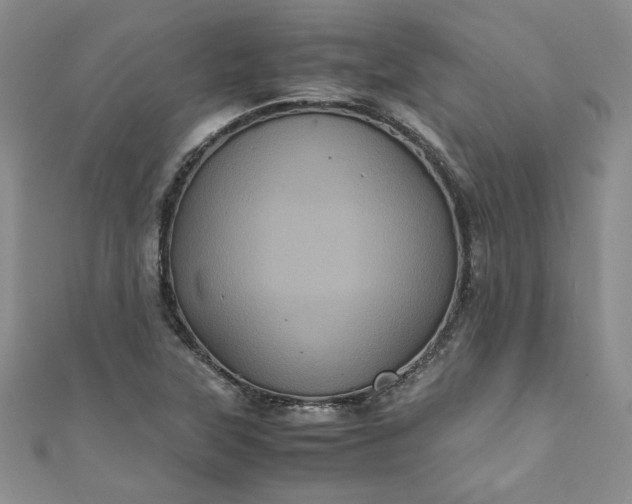 X0000111471315200907271303