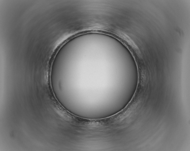 X0000111471316200907271303