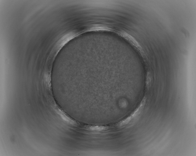 X0000111471321200907271303