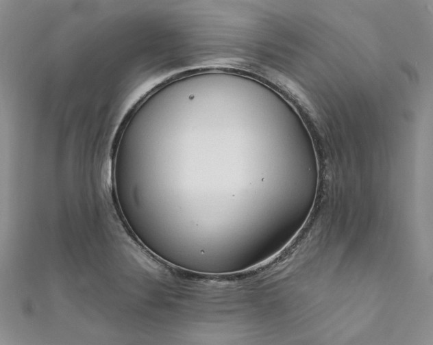 X0000111471324200907271303