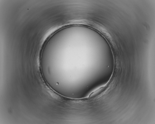 X0000111471328200907271303