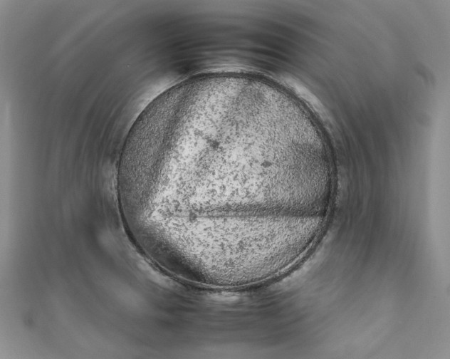 X0000111471329200907271303