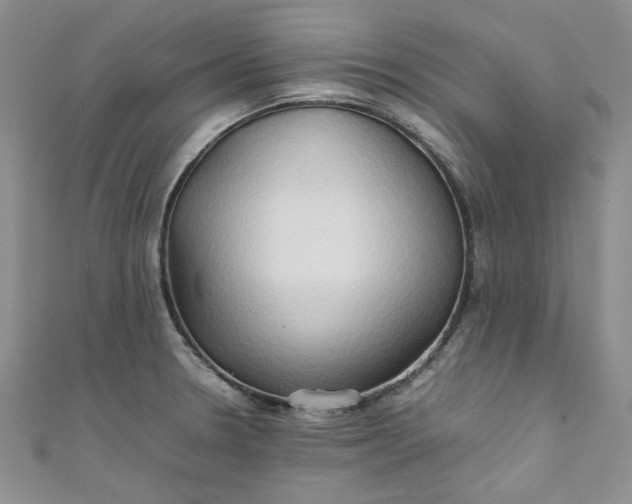 X0000111471330200907271303