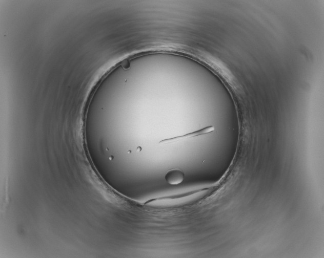 X0000111471332200907271304