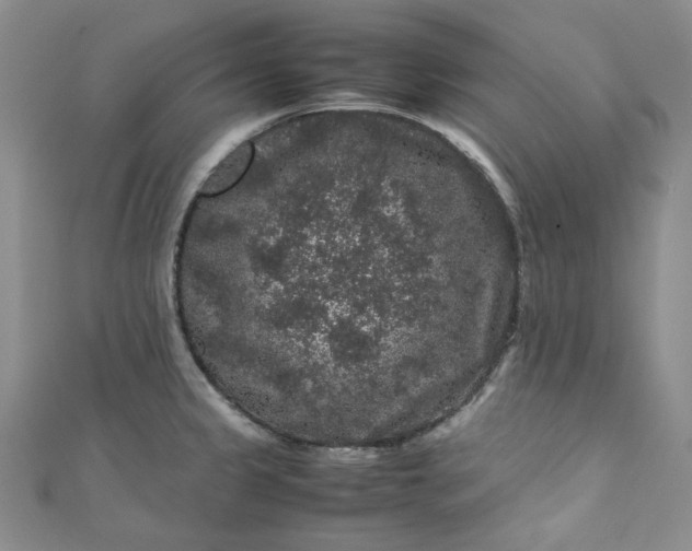 X0000111471333200907271304