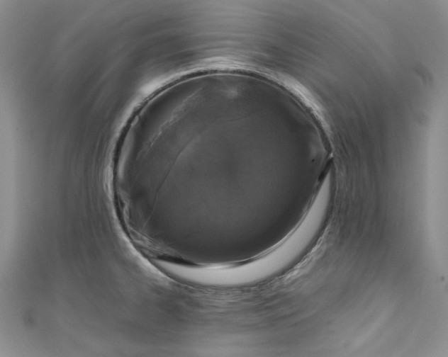 X0000111471334200907271304