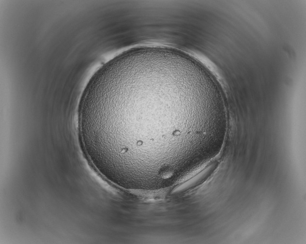 X0000111471335200907271304