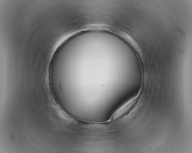 X0000111471336200907271304