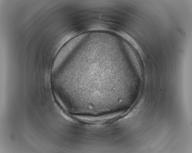 X0000111471337200907271304