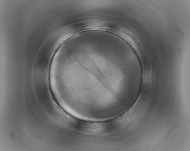 X0000111471338200907271304