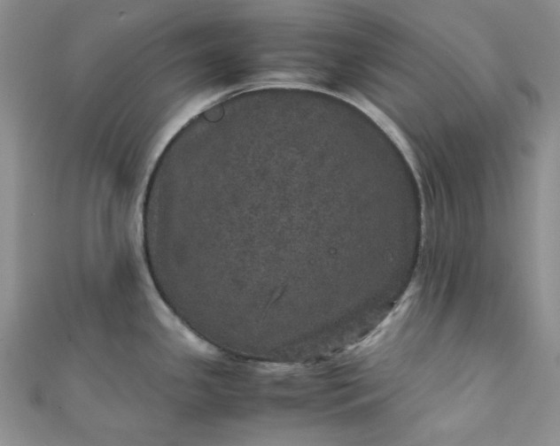 X0000111471341200907271304