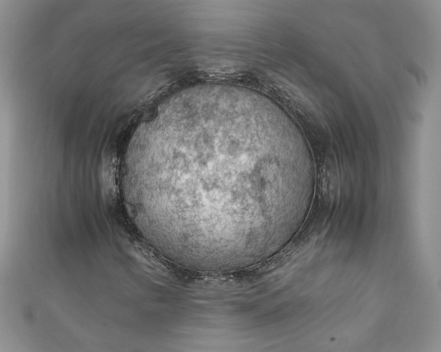 X0000111471346200907271303