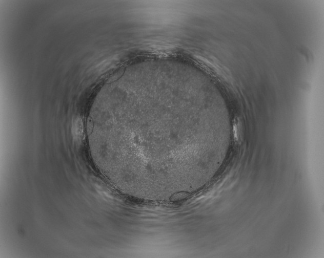 X0000111471347200907271303