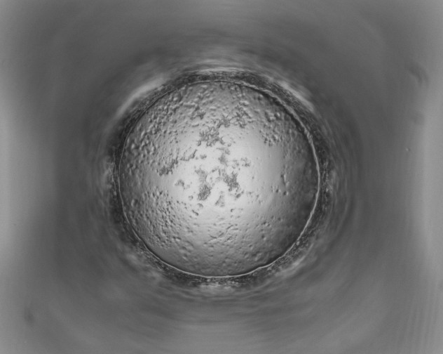 X0000111471351200907271303