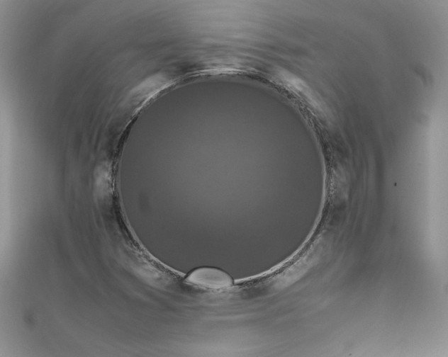 X0000111471353200907271303