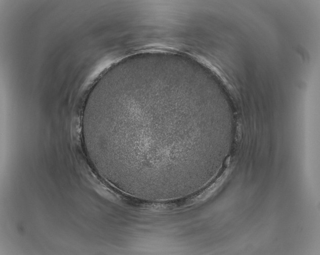 X0000111471355200907271303